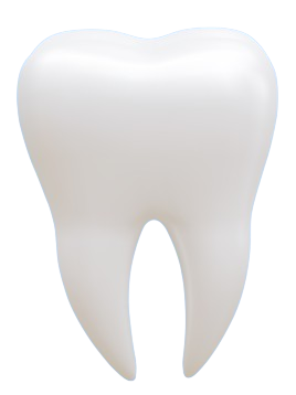 רויאל דנטל קליניק | אפרת סטרוזברג 3